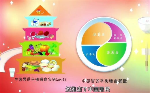 【中国居民膳食指南】动画版