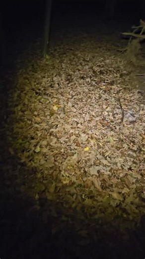 RO Detecting | New character unlocked 😅 | Instagram