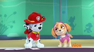 汪汪队歌曲 - Friends Forever