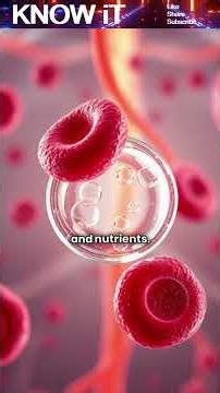 What If Blood Didn't Flow Inside Your Body? ❤️🩸