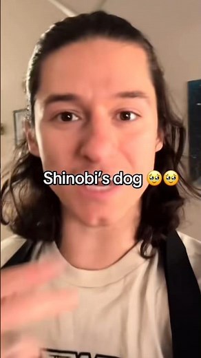Shinobi’s dog 🥹🥹 #fyp #chadwildclay #vyqwaint #spyninjas #trending #viral