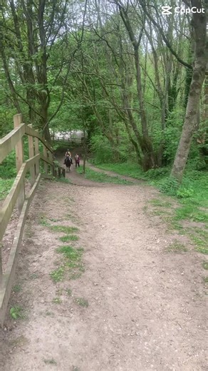 Pony Riding Adventure at Hollybank Farm