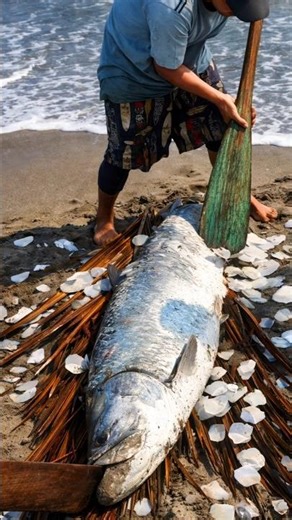 Why Do Brazilian Fishermen Remove This Fish’s Scales Before Selling It? By Shiksha SQUARE