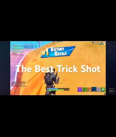 The Best Trick Shot ?