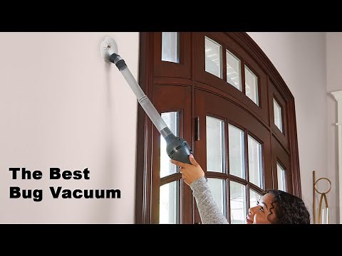 The Best Bug Vacuum