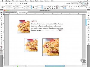 0612 Copy and Paste（ID.CS5初学者入门）