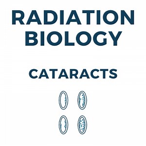 Cataract Induction From X-ray Radiation (Illustrations, Dose Levels) • How Radiology Works