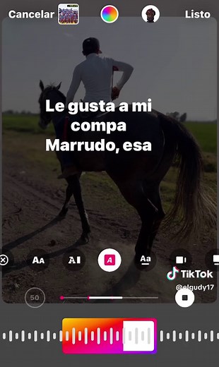 El Perron Merino - Grupo Laberinto