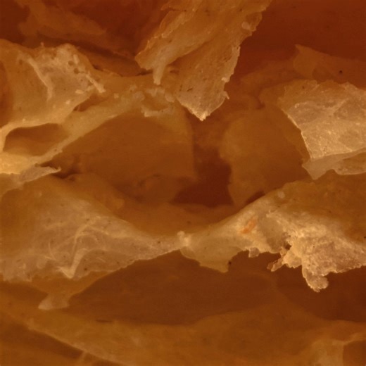 ¡La nueva Domino’s Croissant Pizza está aquí! Crujiente, suave y con capas de hojaldre. ¿Ya la probaste? | Domino's Mx