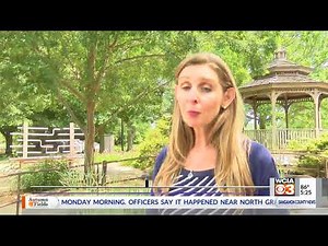 Clark Lindsey Village in Urbana may expand, depends on Urbana City Plan Commission WCIA com