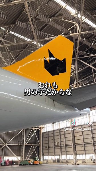 やまとんボトルボックス | ヤマト追跡 | 猫 - クイズや飛行機の新展開！