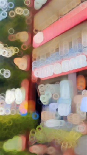 Explore Timro Fulkumari: A Unique Training Song Experience