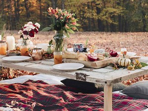18 Best Fall Picnic Menu Ideas to Elevate Your Next Chilly Outdoor Gathering