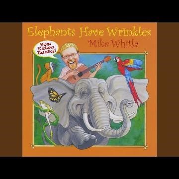 Elephants Have Wrinkles