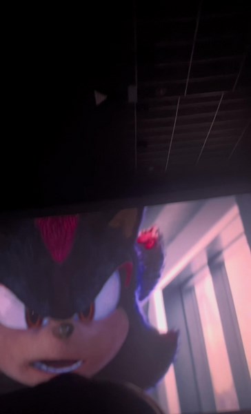 Tom Wakowski's Journey with Shadow the Hedgehog