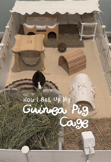 Cozy Brown Setup for Guinea Pigs: A Perfect Home