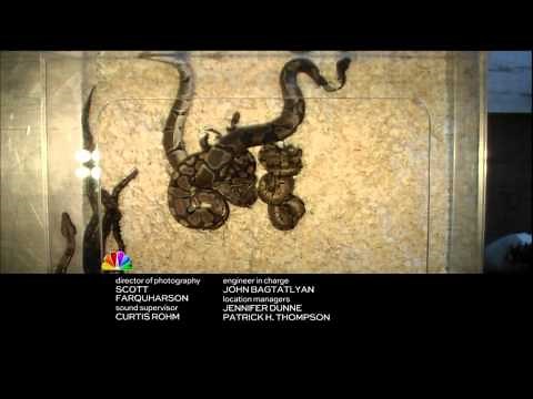 Fear Factor 7x04 Promo (HD)