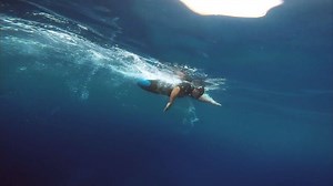 Alex Zanardi, piloto de Formula 1, tuvo un accidente devastador en el que perdió sus piernas. A pesar de ello no se detuvo para convertirse en una inspiración para todos nosotros.🏅 #IRONMANTraining #AnythingIsPossible | IRONMAN México