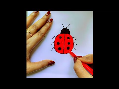 How to draw and color Ladybug 🐞 with Alphabet "D". Super easy way to draw ladybug 🐞