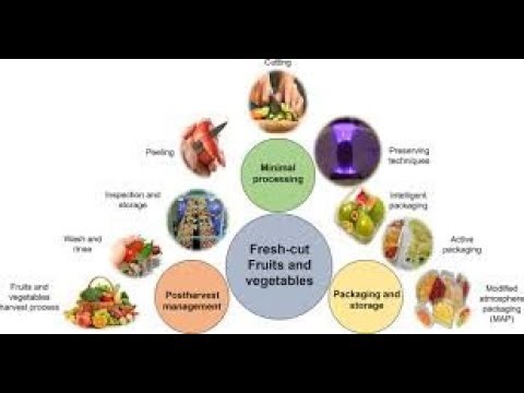 ASPECTS OF MINIMAL PROCESSING | FRUIT AND VEGETABLE TECHNOLOGY | SNS INSTITUTIONS