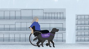 We are proud to have worked alongside Assistance Dogs UK and 11 other assistance dog organisations on a project that celebrates assistance dogs and the life-changing support they provide. Assistance Dogs come in all shapes and sizes and carry out a variety of tasks and alerts which enable people to live independent lives. The short animation below explores some of the different types of assistance dogs and their jobs. Find out more: http://ow.ly/Clll50OHPiq #AssistanceDogsUK Medical Detection Do