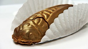 Candy company now selling chocolate-covered cicadas | CNN