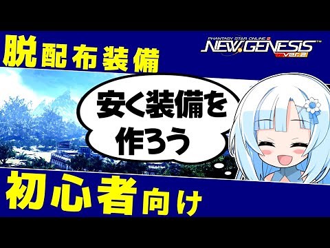 【PSO2NGS】初心者＆復帰者向けコスパのいい装備作成【エクセリオ/エクタシス】