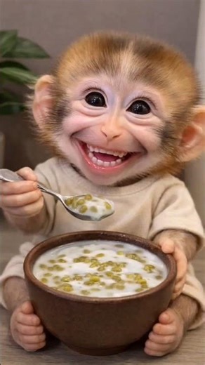 Baby monkey Tries Sweet Mung Bean Soup 🐵🍵. So Happy & Adorable. #shorts #adorableanimal.
