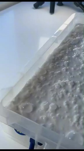 Cuentas recomendadas