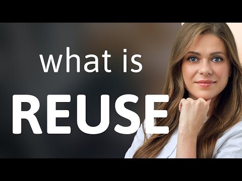 Reuse • what is REUSE definition
