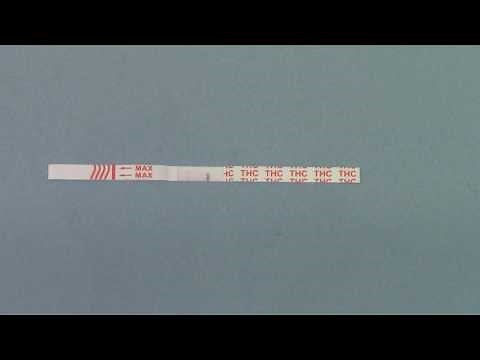 Ultra Sensitive Cannabis drug test demonstration part 2