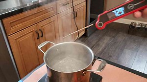 This is the best instant read thermometer from Walmart to Amazon