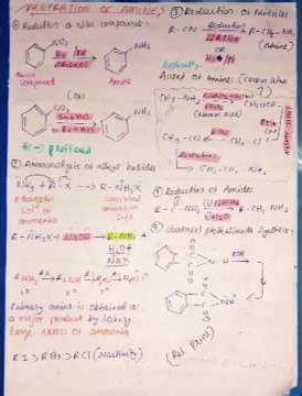 class 12 Amines short notes 🌸#shortvideo #neet #class12 #science #trending