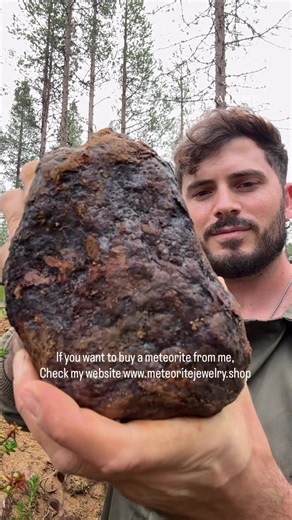 Muonionalusta meteorite — fine octahedrite from northern Sweden