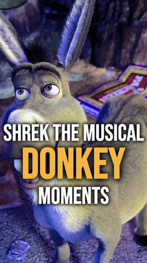 Hilarious Moments of Donkey in Shrek the Musical