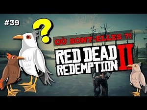 #39 EGRET: WHERE TO HUNT? RED DEAD REDEMPTION 2