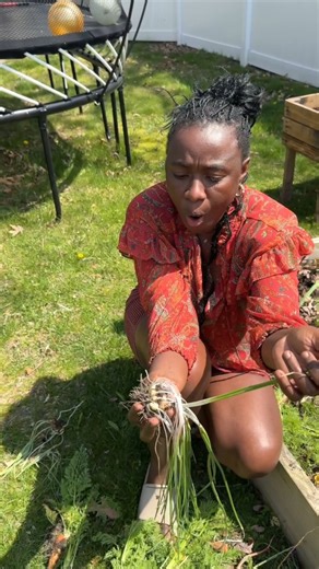 You won't believe what was growing in our yard all these years 😱😳 | A Life Less Scripted