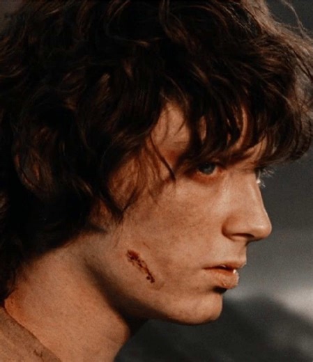 Frodo Baggins: A Tribute to the Hobbit Hero