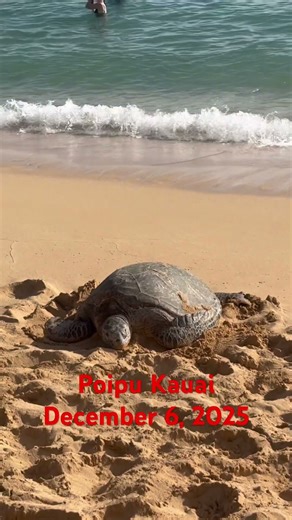 Poipu Kauai. December 6, 2025