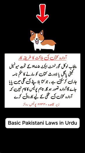 Awara Kuton ki Talfee: Punjab Police Rules & Law #Shorts