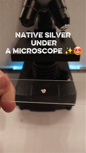 Native silver under a microscope #microscope #science #experiment