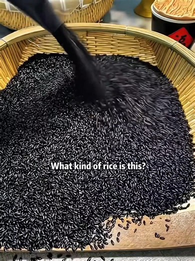 Exploring Different Types of Rice Varieties