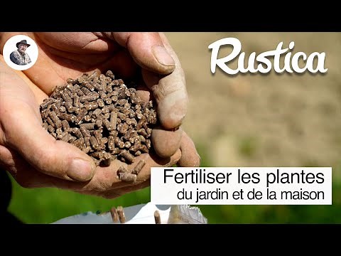 How to feed plants with fertilizers