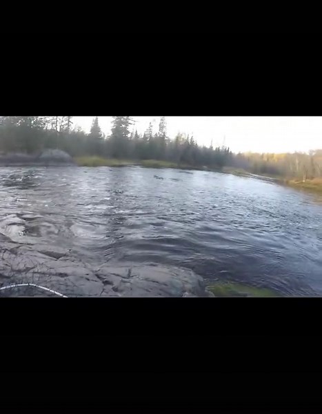 Unbelievable Fishing Adventure: Part 2 Coming Soon!