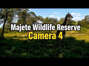 Majete Wildlife Reserve Cam 4 - LIVE from Malawi, Africa!