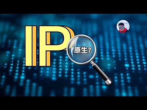 一个视频搞清楚原生ip、住宅ip、机房ip，教你怎么查询，怎么判定ip风险值(CC字幕)