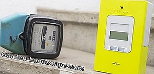 Pratique de jardin: Planter du cola - c'est comme ça | 2025