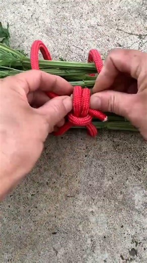 how to tie several small tree trunks so they dont come loose