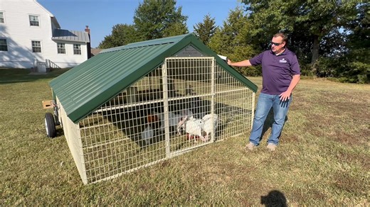 11 reactions | Follow us through a farm to table illustration on how to raise turkeys in small scale farming and backyard operations. | Valley Feed | Facebook