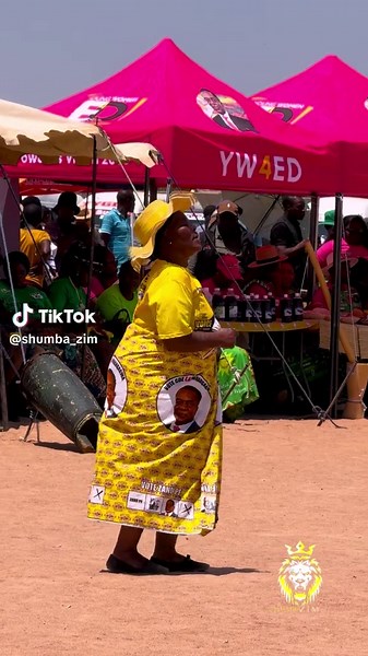 Support for ZANU PF: Building a Brighter Future